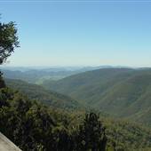 Barrington Tops area
