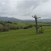 Jamberoo Area