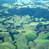 Dorrigo - Aerial Shots
