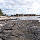 Bindijine Beach - Beecroft Peninsula