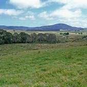 Braidwood surrounds