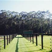 Glenvale Park