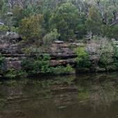 Lane Cove National Park