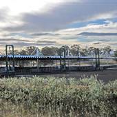 Livestock Markets Blayney