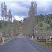 Rural Roads - Glen Innes Area