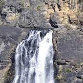Tia Falls