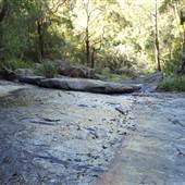 Tweed - McKenzie Property