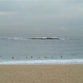 Wedding Cake Island - Coogee Beach