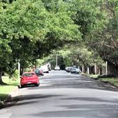 Ku-Ring-Gai Ave - Pymble