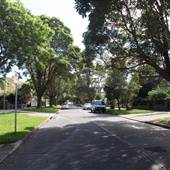 Willoughby residential road