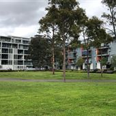 Ballaarat Park - Pyrmont