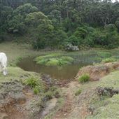 Otford Farm - 40 Acres Paddock