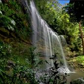 Watagans National Park