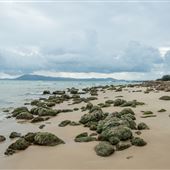 Trial Bay Gaol Campground & Front Beach - Arakoon National Park