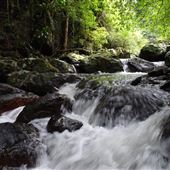 Hidden Creek