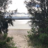 Swan Lake - Swanhaven