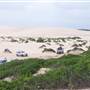 Anna Bay Sand Dunes