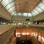 Australian Museum