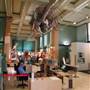 Australian Museum