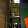 Australian Museum