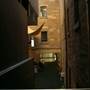 Australian Museum
