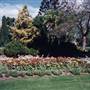 Albury