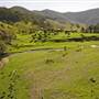 Armidale to Kempsey Road