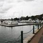 Balmain Cove and Balmain Shores