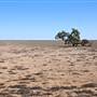 Balranald Area