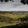Bellinger Valley