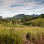 Bellinger Valley
