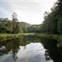 Bellinger Valley
