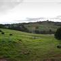 Bellinger Valley
