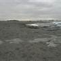 Black Sand Beach, Bass Point Reserve & Shell Cove