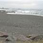 Black Sand Beach, Bass Point Reserve & Shell Cove