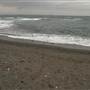 Black Sand Beach, Bass Point Reserve & Shell Cove