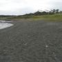 Black Sand Beach, Bass Point Reserve & Shell Cove