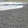 Black Sand Beach, Bass Point Reserve & Shell Cove