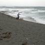 Black Sand Beach, Bass Point Reserve & Shell Cove