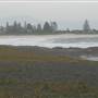 Black Sand Beach, Bass Point Reserve & Shell Cove