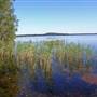 Northern Broadwater Picnic Area