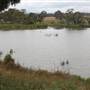 Cecil Hoskins Nature Reserve Moss Vale