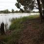 Cecil Hoskins Nature Reserve Moss Vale