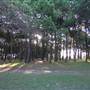 Centennial Park