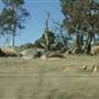 Dalgety/Cooma