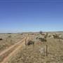 Dalgety/Cooma