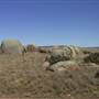 Dalgety/Cooma
