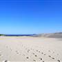 Dark Point Dunes