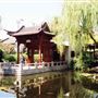Chinese Garden of Friendship - Darling Harbour