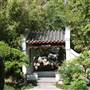 Chinese Garden of Friendship - Darling Harbour